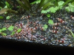 20140819_CRS.JPG