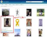 MSN Live Search